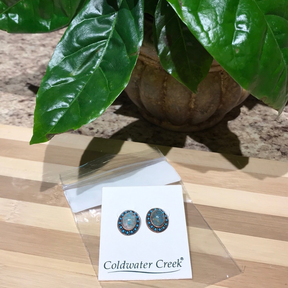Turquoise & copper stud earrings Coldwater Creek